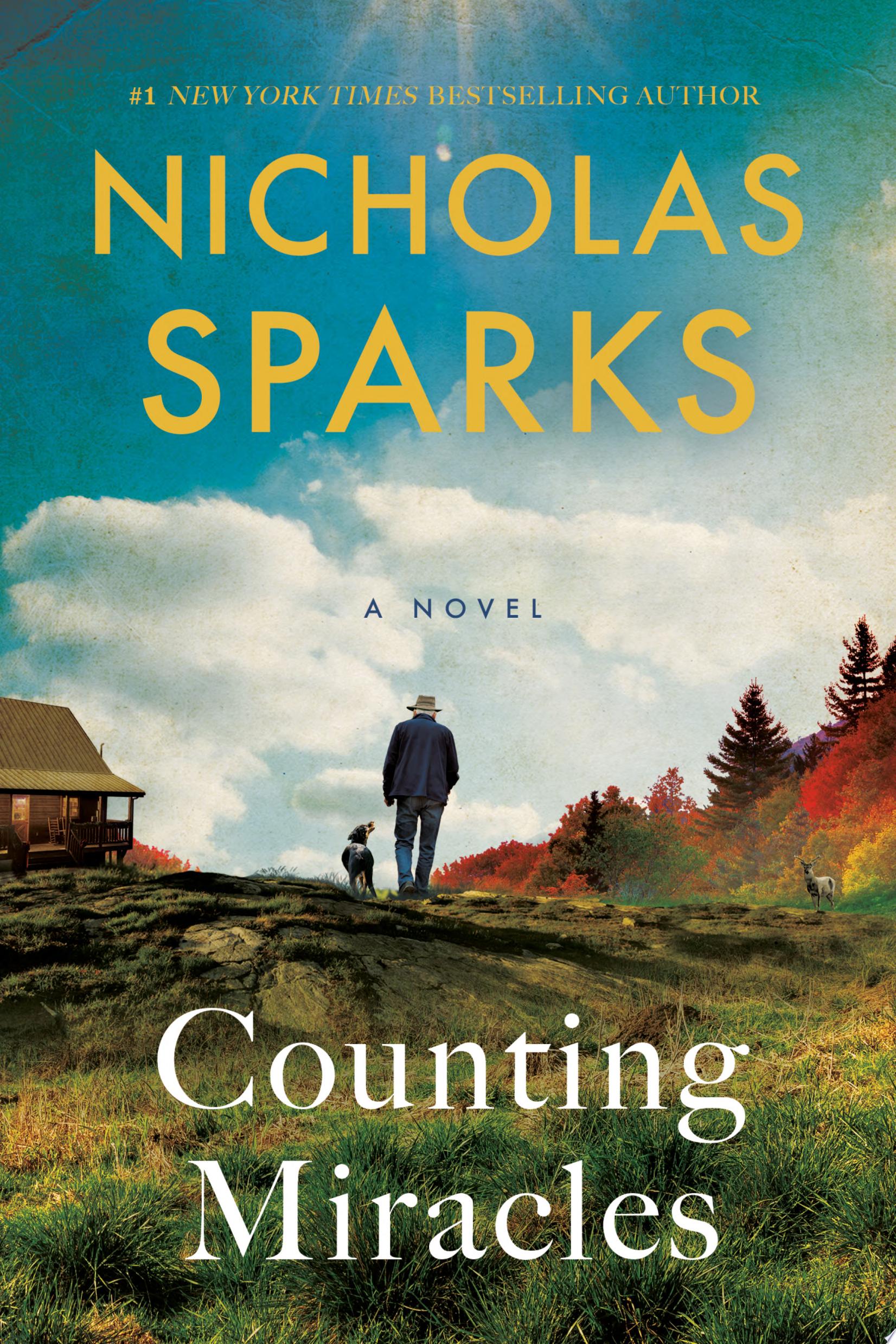 Image for "Counting Miracles"