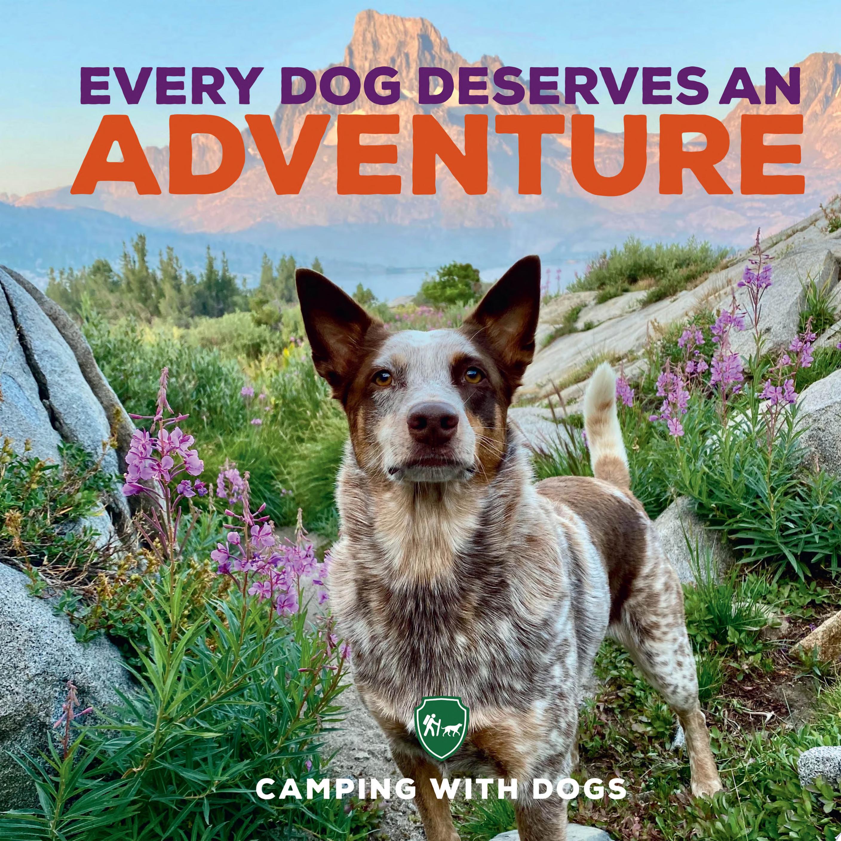 Image for "Every Dog Deserves an Adventure"