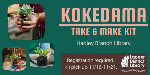 Website Slide Kokedama Hadley  